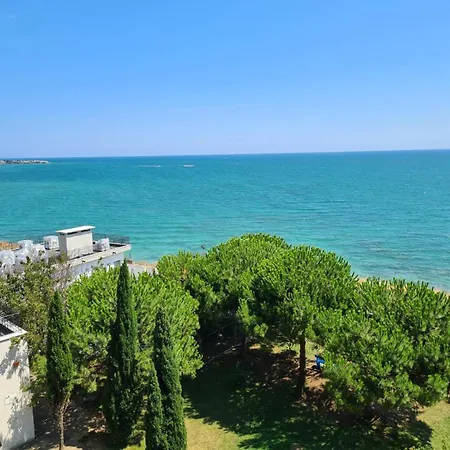 Visit Sunny Marina *