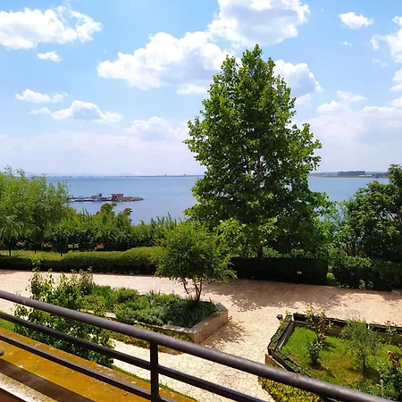 Visit Sunny Marina