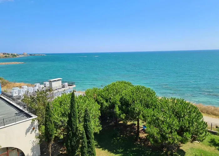 Visit Sunny Marina *